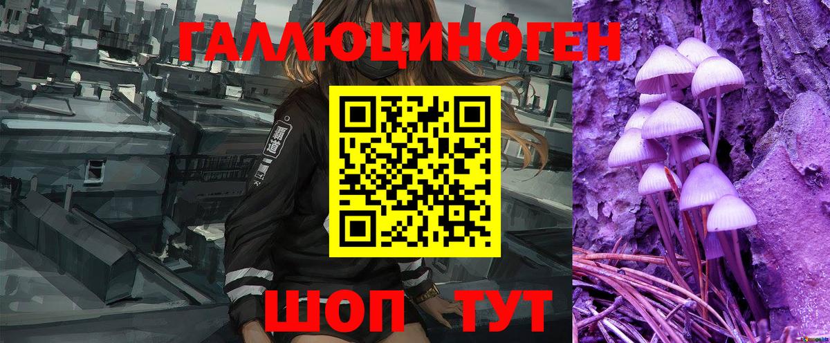 Урай  Галлюциногенные грибы Psilocybe  Вход с VPN 